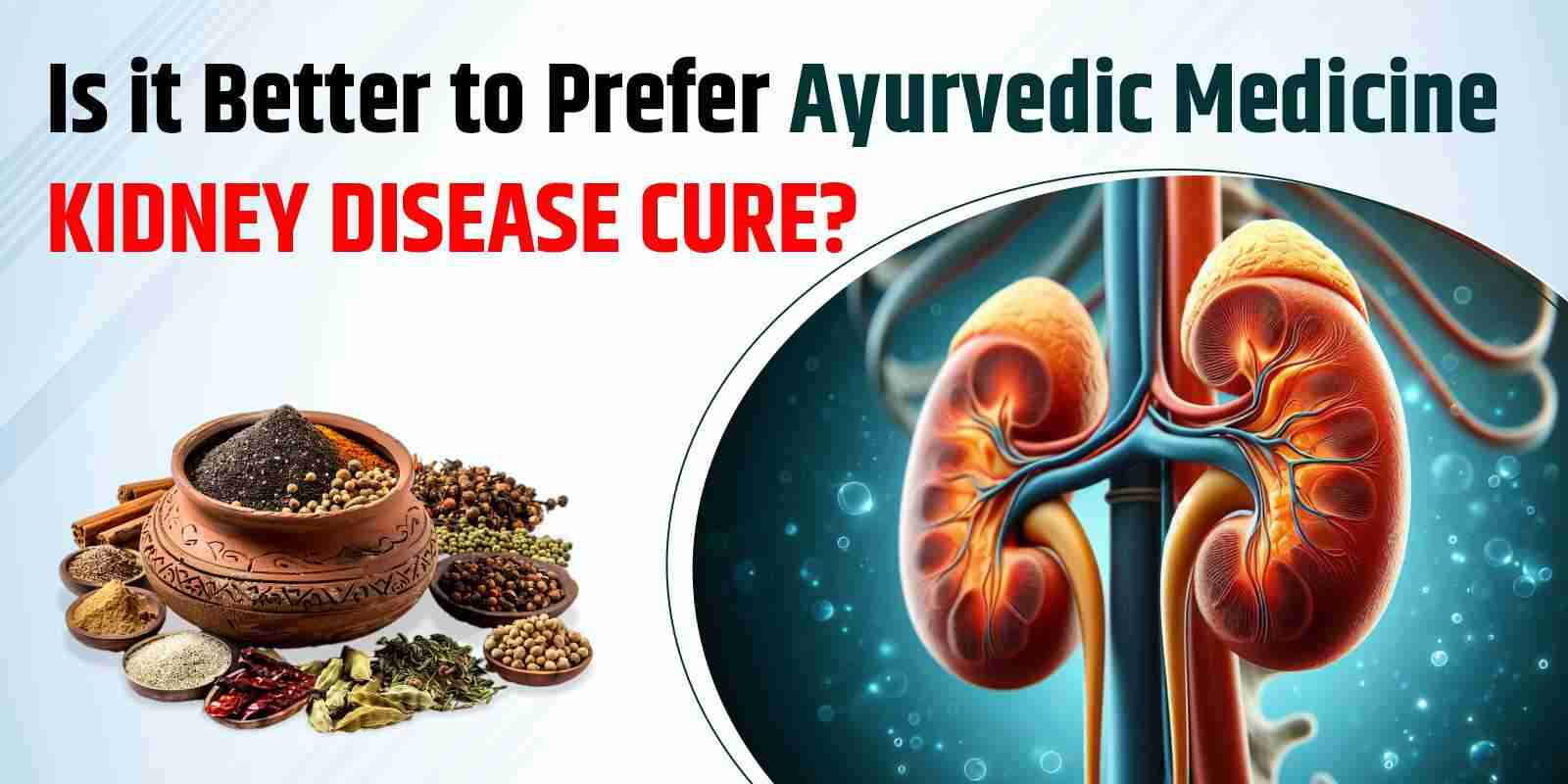 Ayurvedic Medicine Kidney Disease Cure